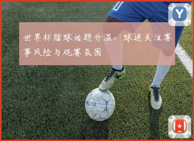 世界杯赌球话题升温,球迷关注赛事风险与观赛氛围