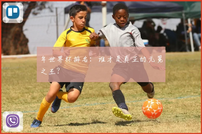 年世界杯排名:谁才是真正的无冕之王?