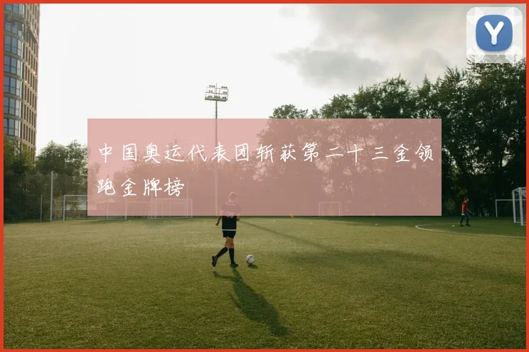 中国奥运代表团斩获第二十三金领跑金牌榜