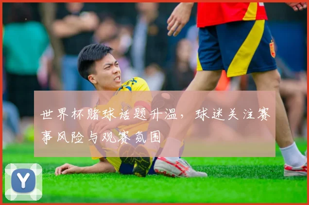 世界杯赌球话题升温,球迷关注赛事风险与观赛氛围