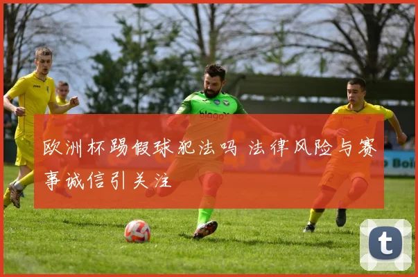 欧洲杯踢假球犯法吗 法律风险与赛事诚信引关注
